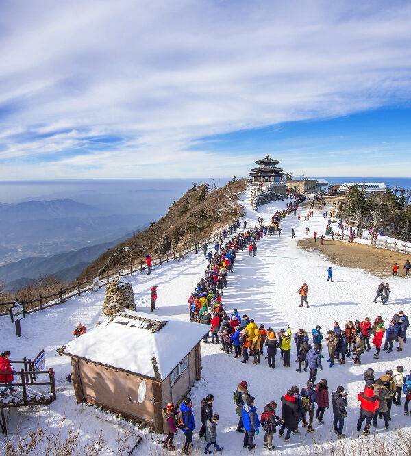 shimla