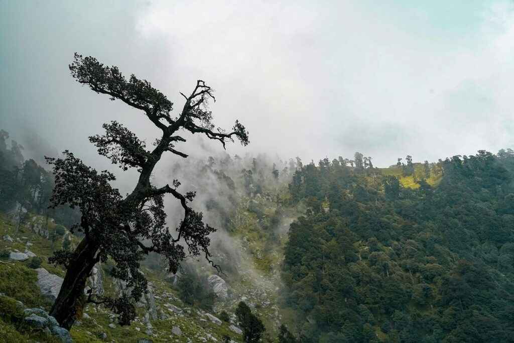 Best time to visit Kinnaur