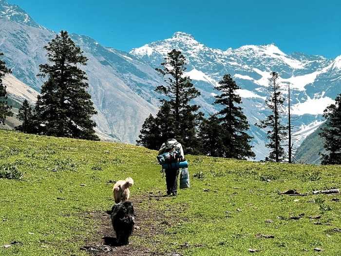 Buran Ghati Trek from Shimla