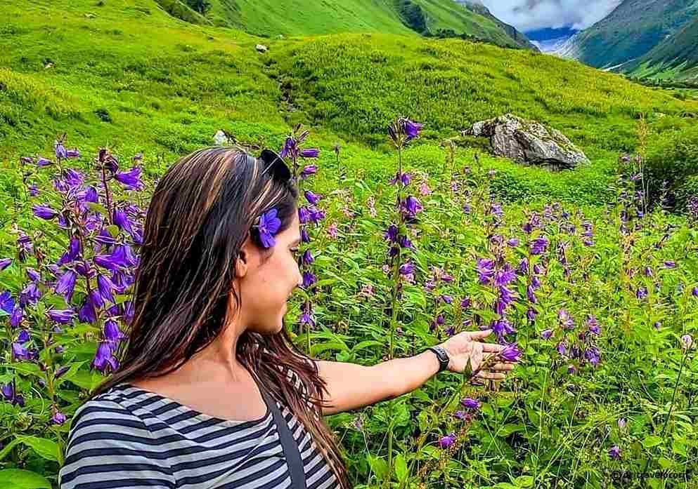 Valley of Flowers itinerary