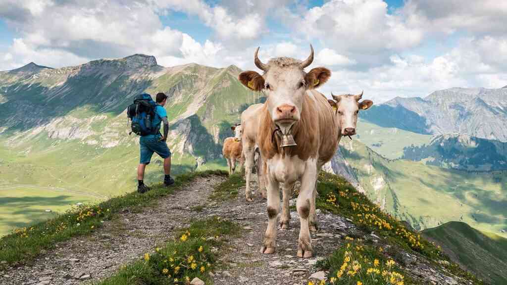 Adventure tours in Switzerland