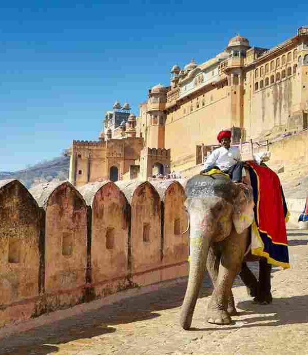 Jaipur, the capital of Rajasthan, is known as the "Pink City" for its vibrant architecture. Famous for its historic palaces, forts, and rich cultural heritage, it’s a top destination for exploring royal history and traditional Rajasthani culture.